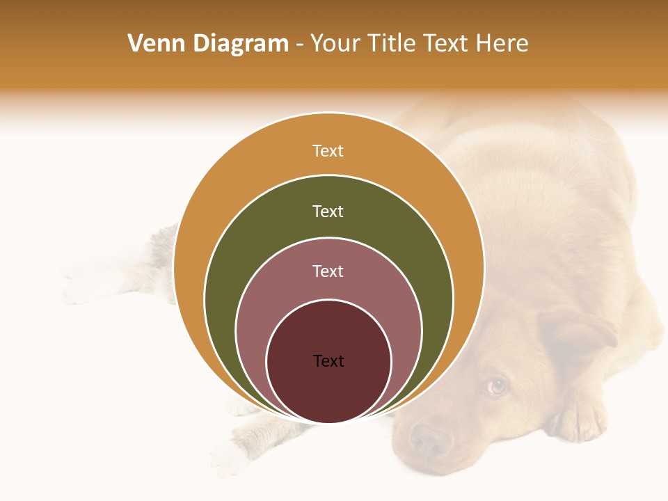 Duet Space Tranquil PowerPoint Template