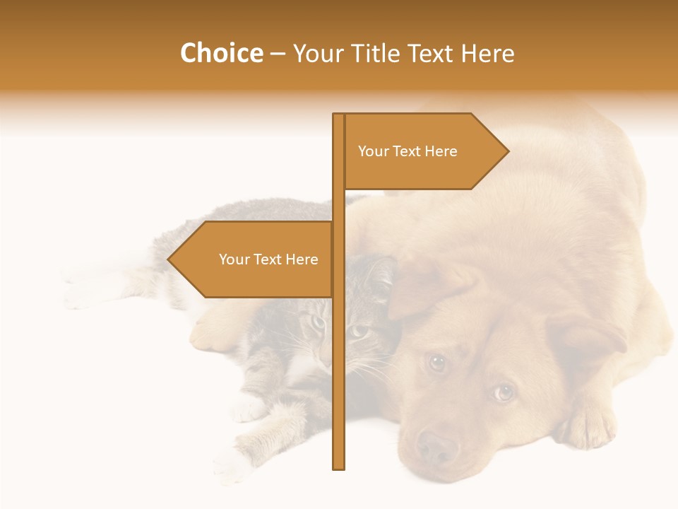 Duet Space Tranquil PowerPoint Template