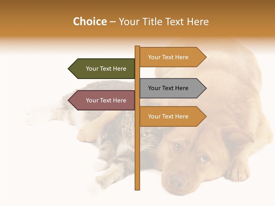 Duet Space Tranquil PowerPoint Template