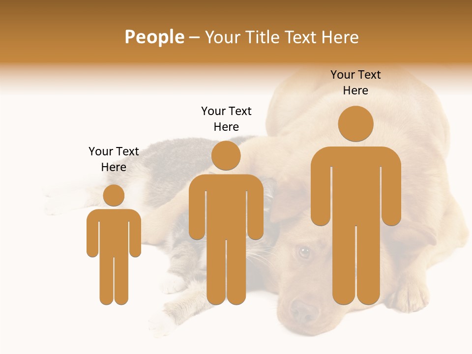 Duet Space Tranquil PowerPoint Template