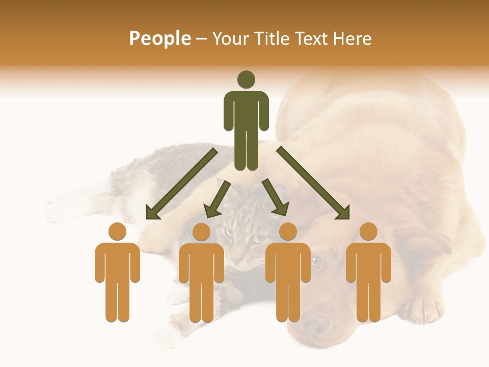 Duet Space Tranquil PowerPoint Template