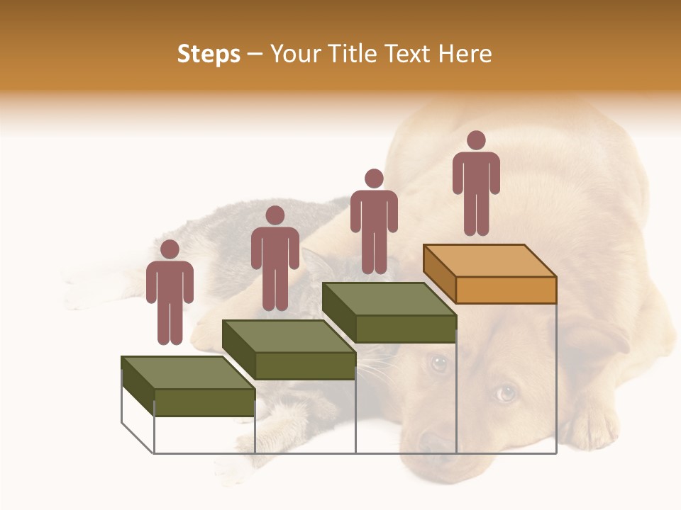 Duet Space Tranquil PowerPoint Template