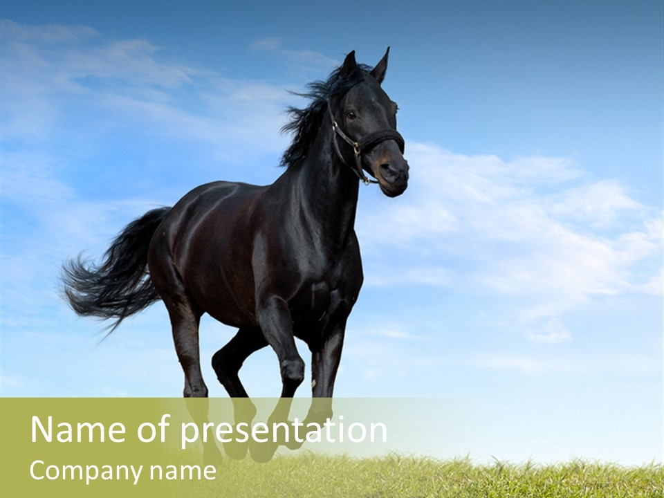 Sky Horse-Racing Stirrup PowerPoint Template