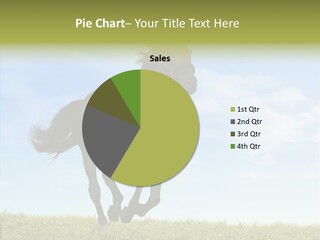 Sky Horse-Racing Stirrup PowerPoint Template