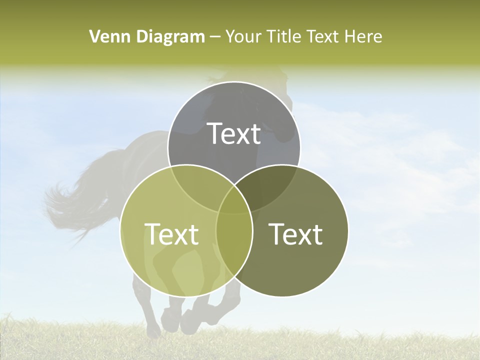 Sky Horse-Racing Stirrup PowerPoint Template