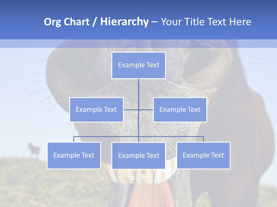 Smile Ears Nature PowerPoint Template