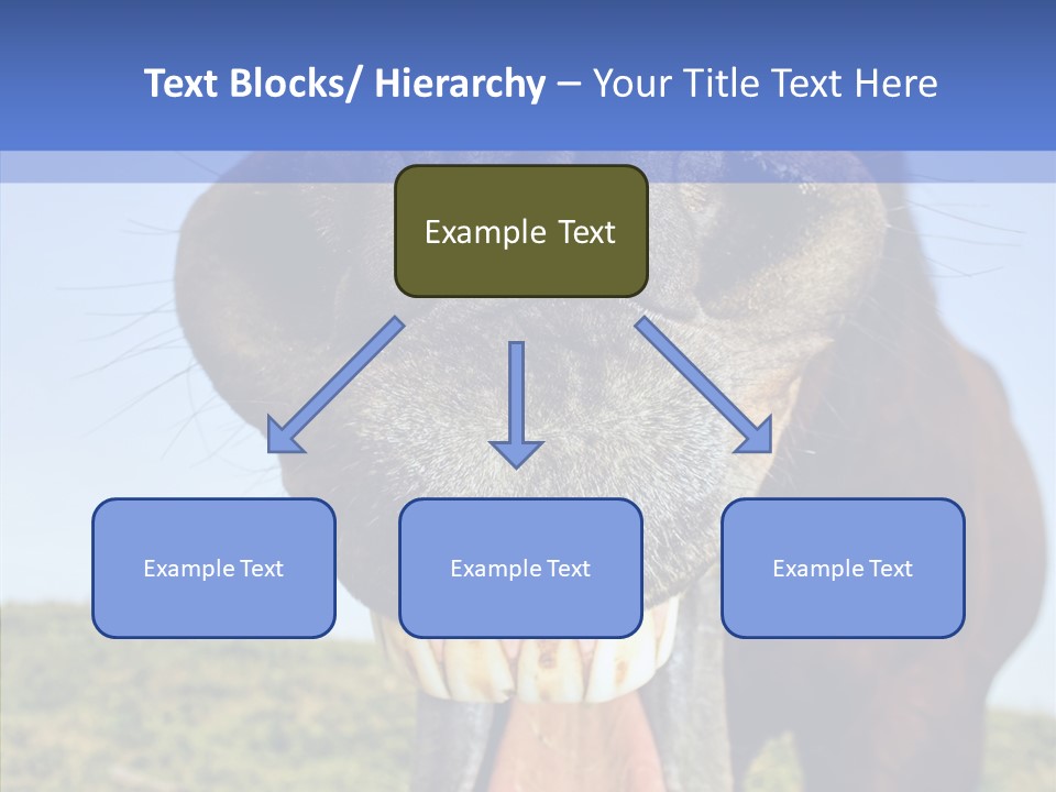 Smile Ears Nature PowerPoint Template