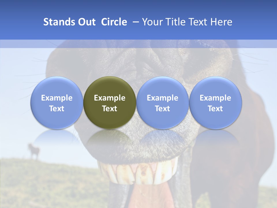 Smile Ears Nature PowerPoint Template