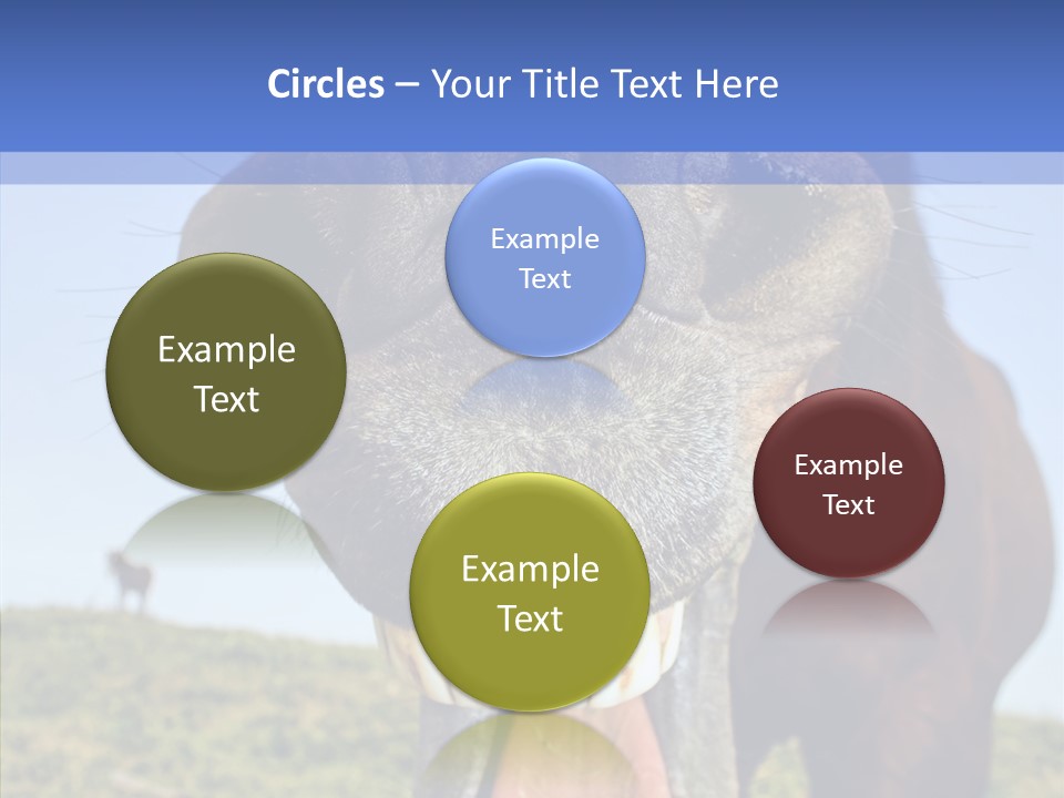 Smile Ears Nature PowerPoint Template