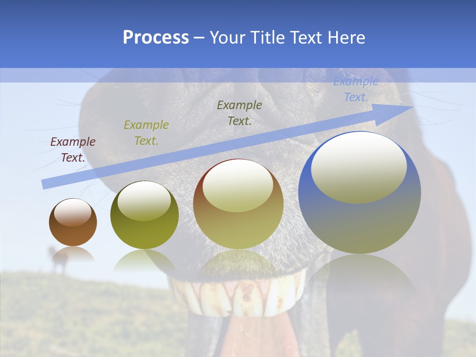 Smile Ears Nature PowerPoint Template
