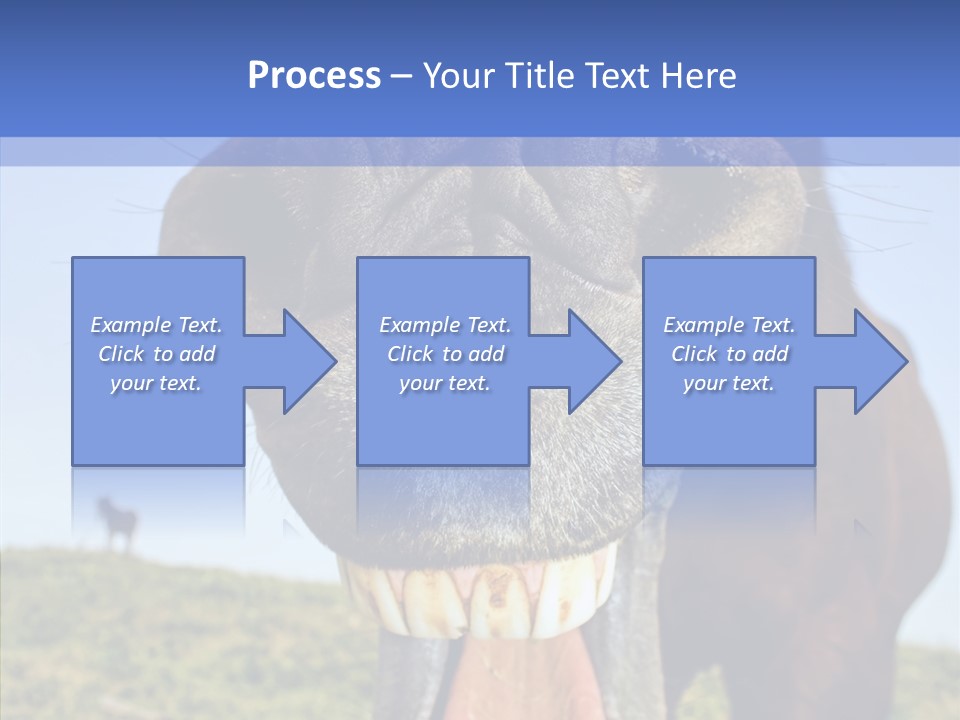 Smile Ears Nature PowerPoint Template