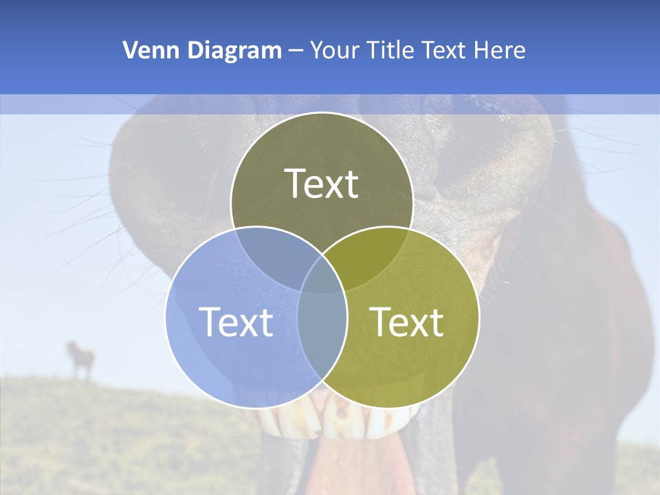 Smile Ears Nature PowerPoint Template