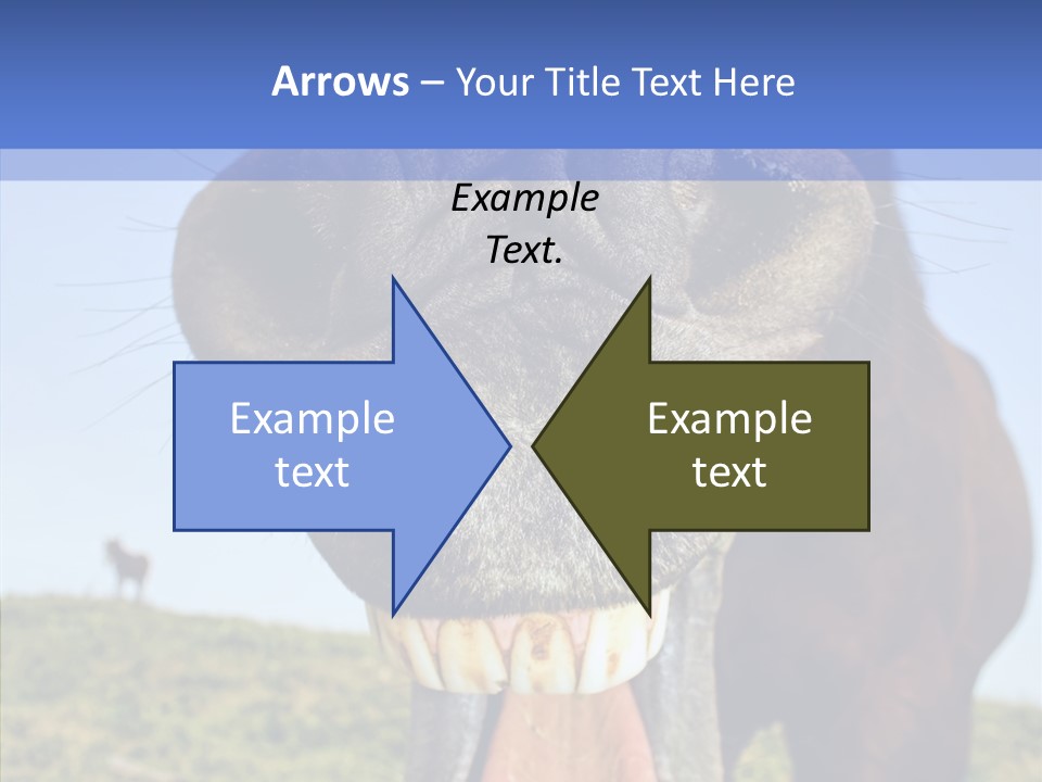 Smile Ears Nature PowerPoint Template