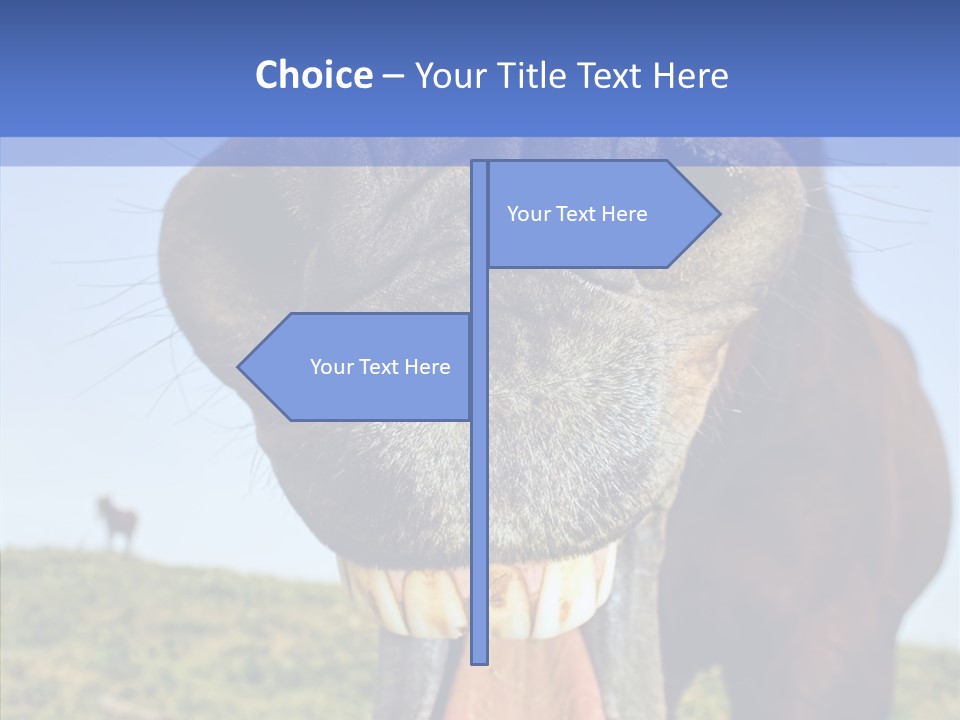 Smile Ears Nature PowerPoint Template