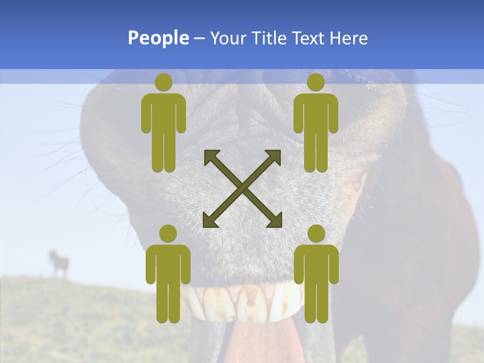 Smile Ears Nature PowerPoint Template