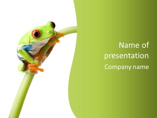 Wildlife Animal Pet PowerPoint Template