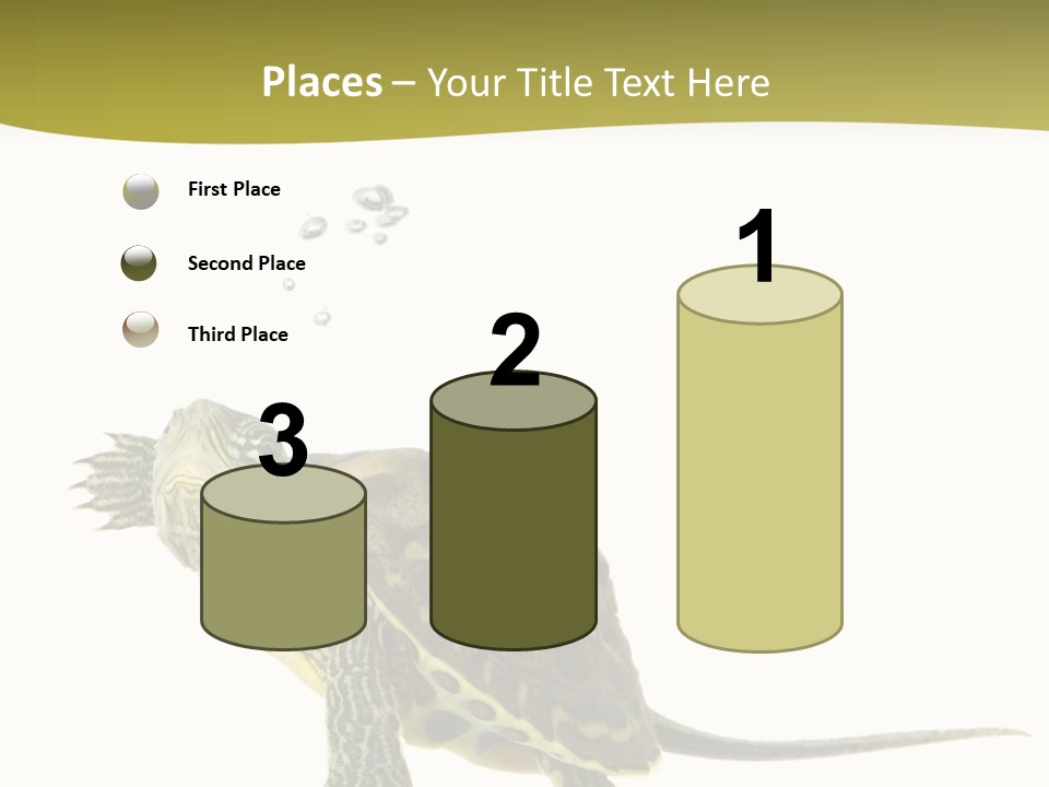Fin Fluid Freshness PowerPoint Template