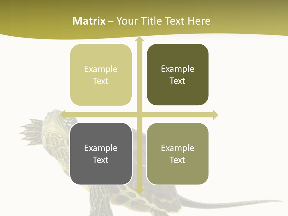 Fin Fluid Freshness PowerPoint Template