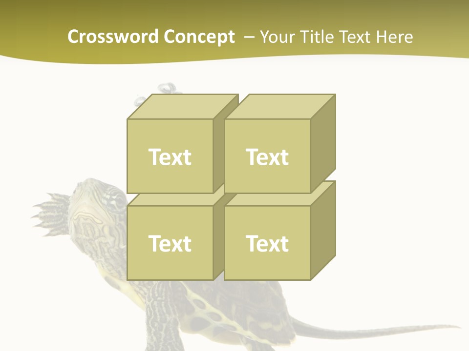 Fin Fluid Freshness PowerPoint Template