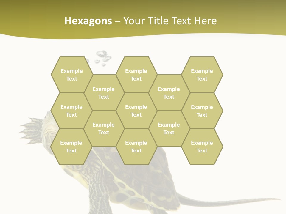 Fin Fluid Freshness PowerPoint Template