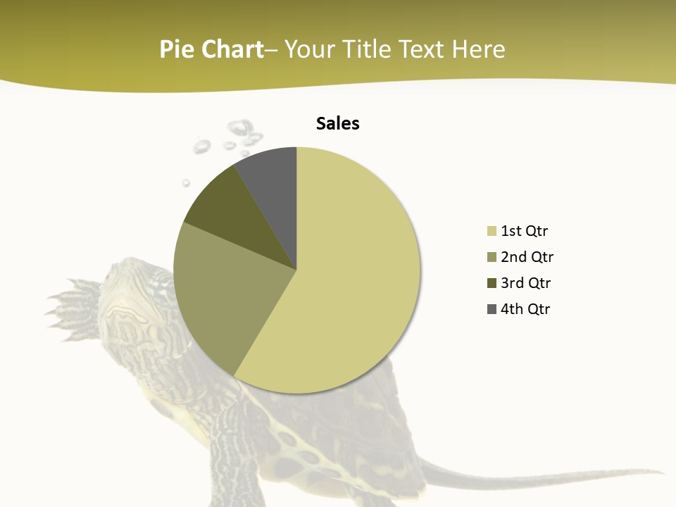 Fin Fluid Freshness PowerPoint Template