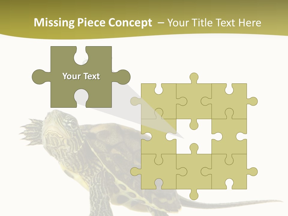 Fin Fluid Freshness PowerPoint Template