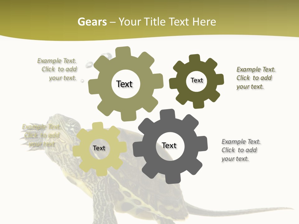 Fin Fluid Freshness PowerPoint Template