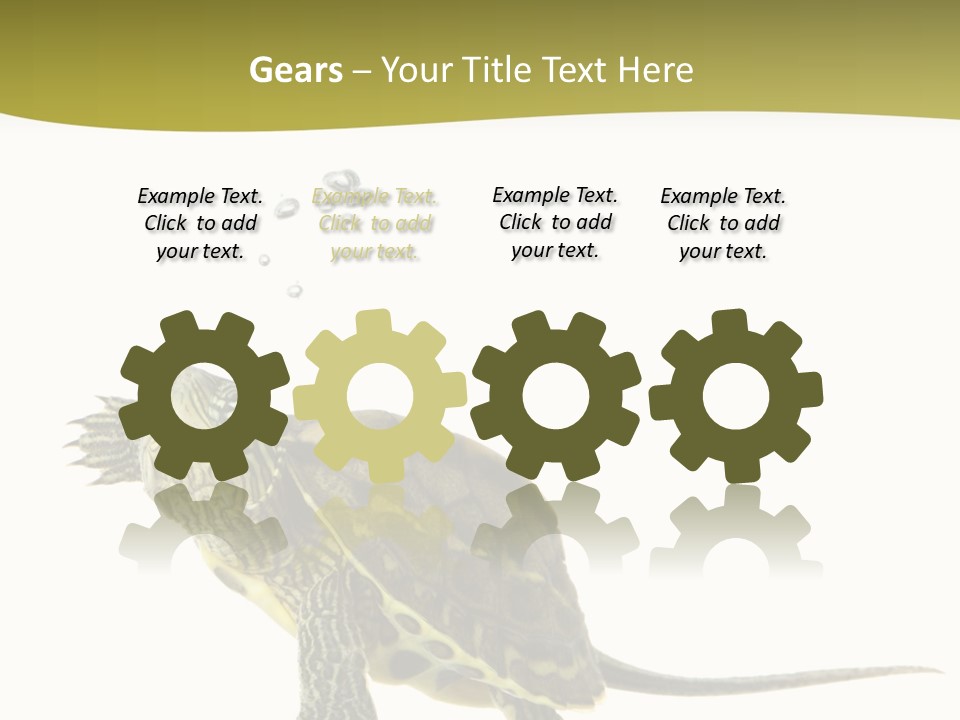 Fin Fluid Freshness PowerPoint Template