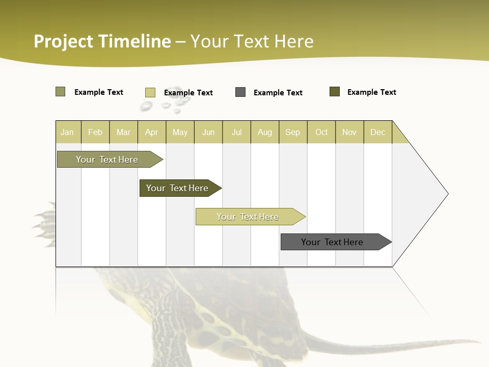 Fin Fluid Freshness PowerPoint Template