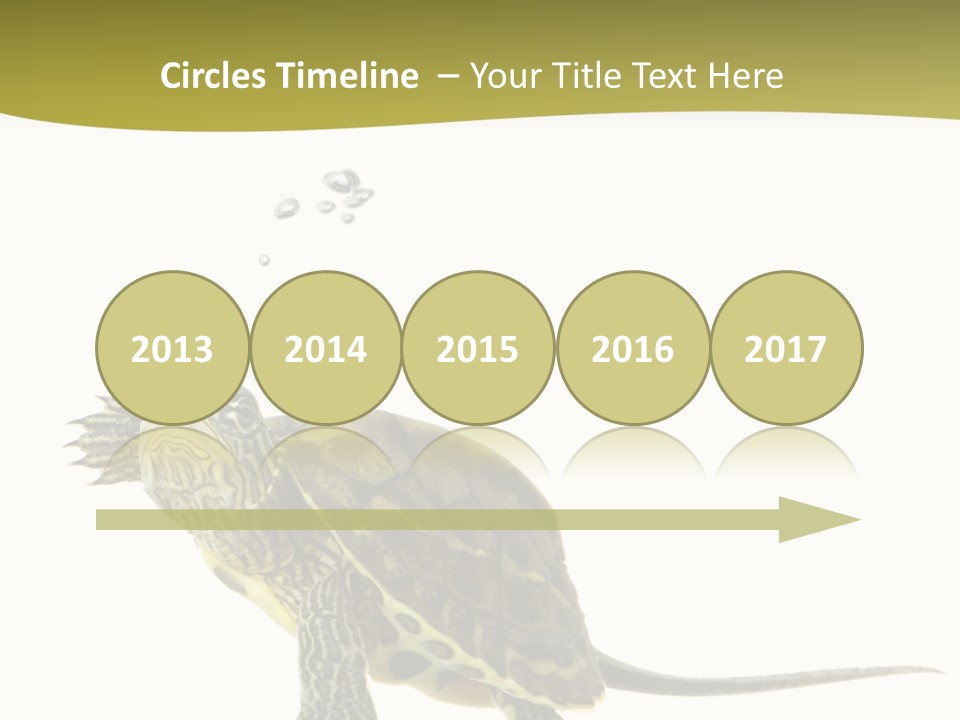 Fin Fluid Freshness PowerPoint Template