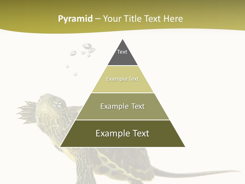 Fin Fluid Freshness PowerPoint Template