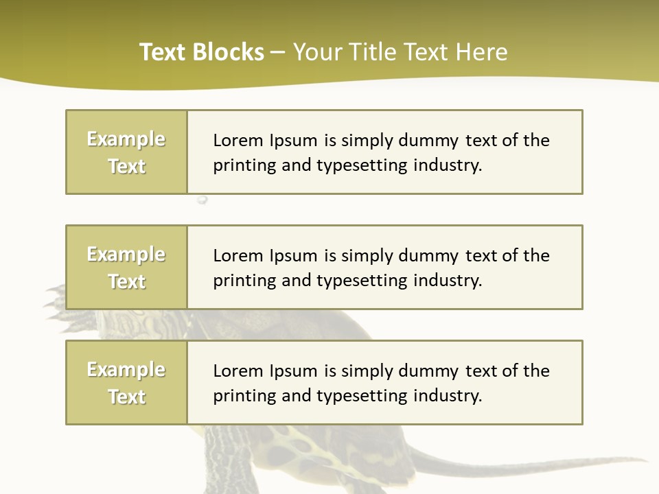Fin Fluid Freshness PowerPoint Template