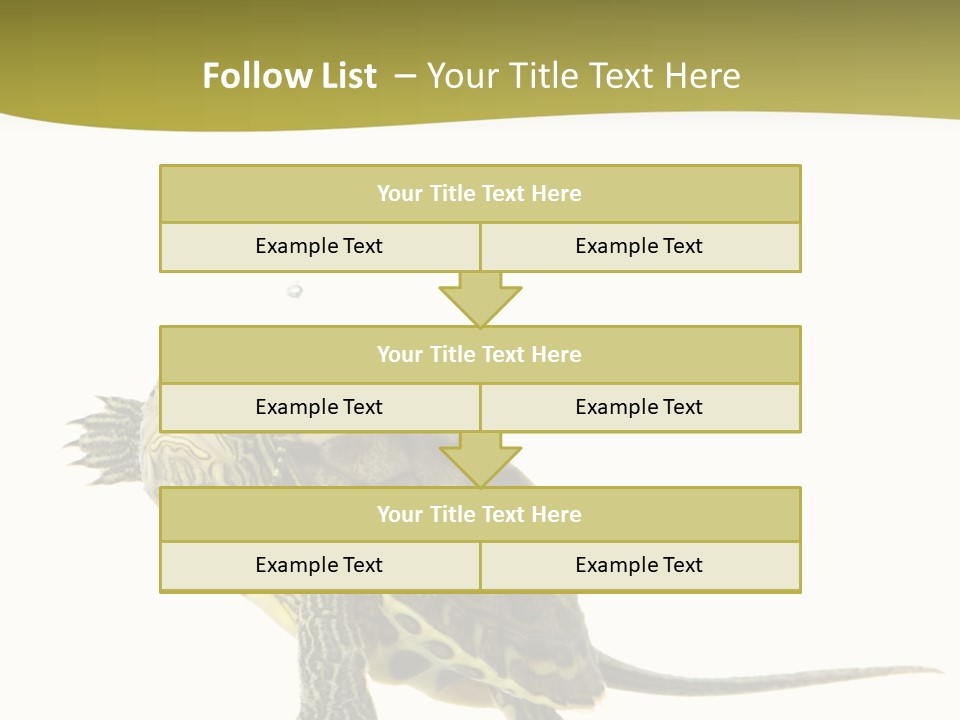 Fin Fluid Freshness PowerPoint Template