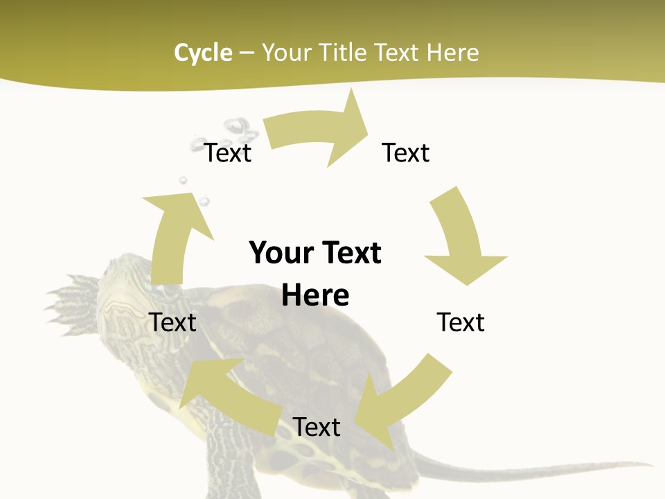Fin Fluid Freshness PowerPoint Template