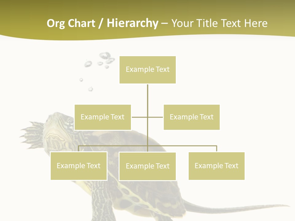 Fin Fluid Freshness PowerPoint Template