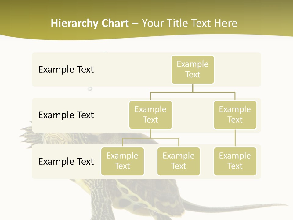 Fin Fluid Freshness PowerPoint Template