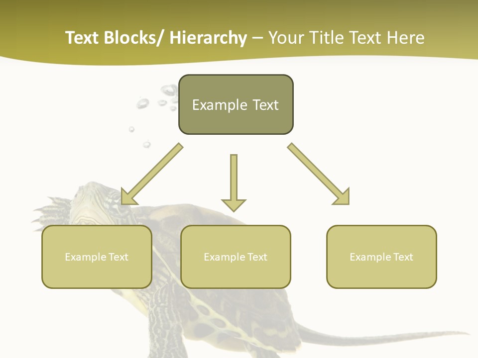 Fin Fluid Freshness PowerPoint Template