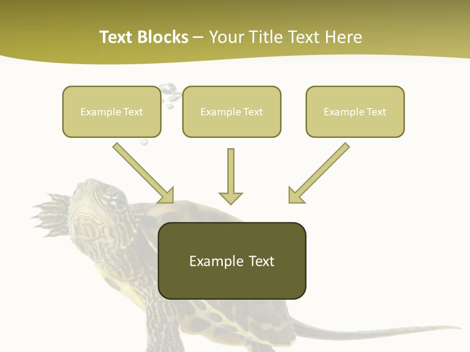 Fin Fluid Freshness PowerPoint Template