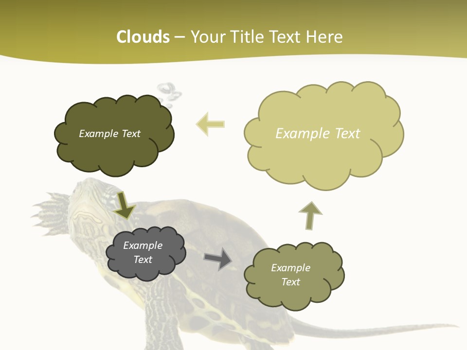 Fin Fluid Freshness PowerPoint Template