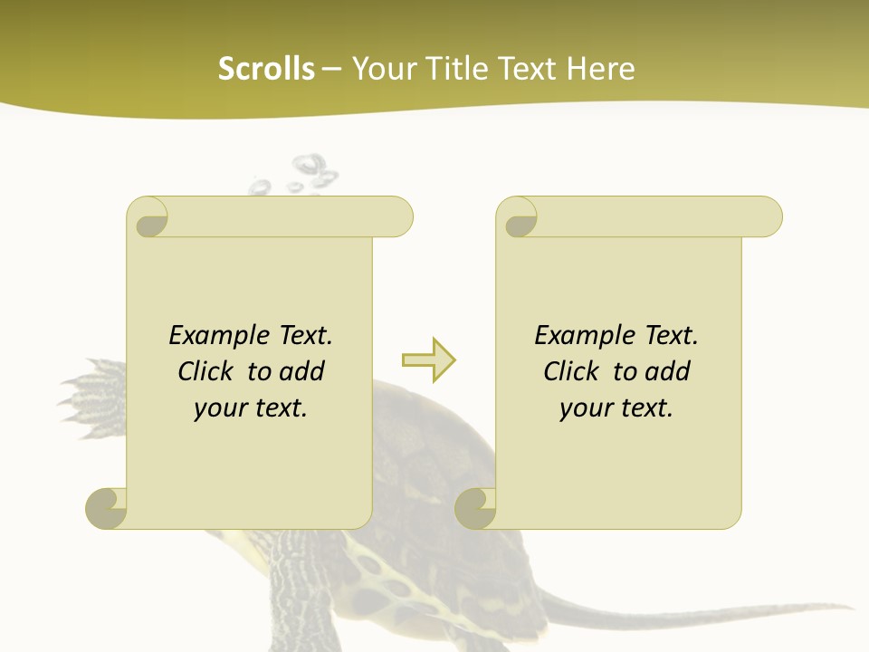 Fin Fluid Freshness PowerPoint Template