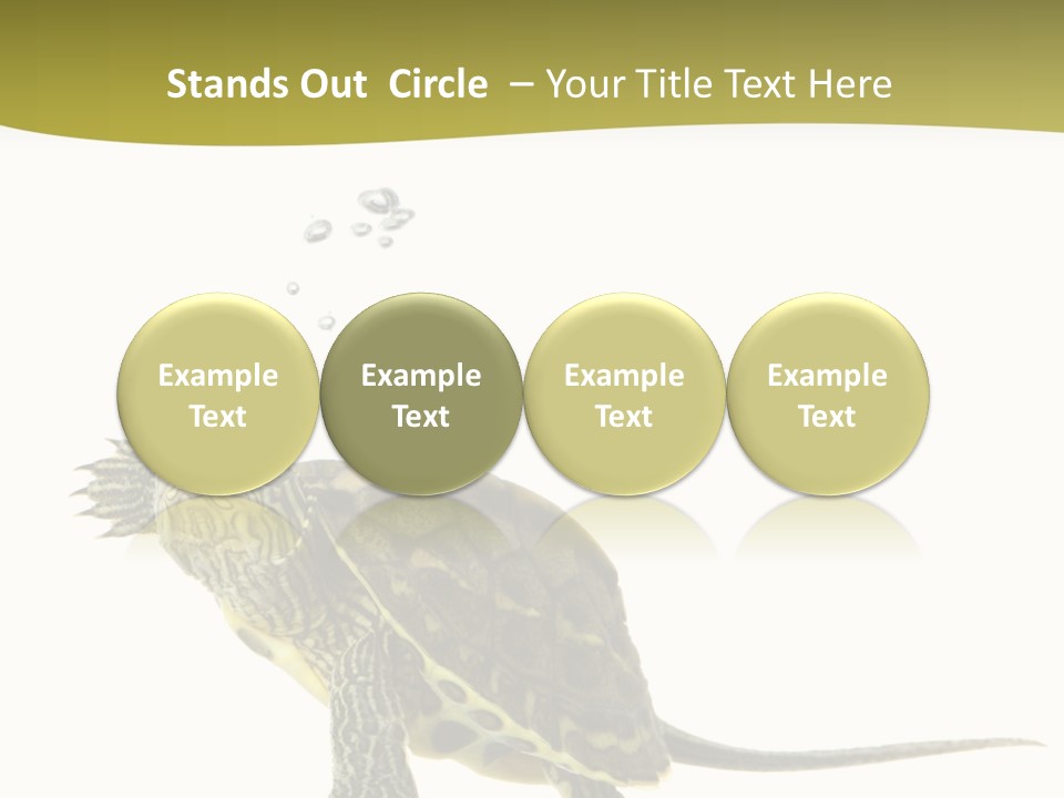 Fin Fluid Freshness PowerPoint Template