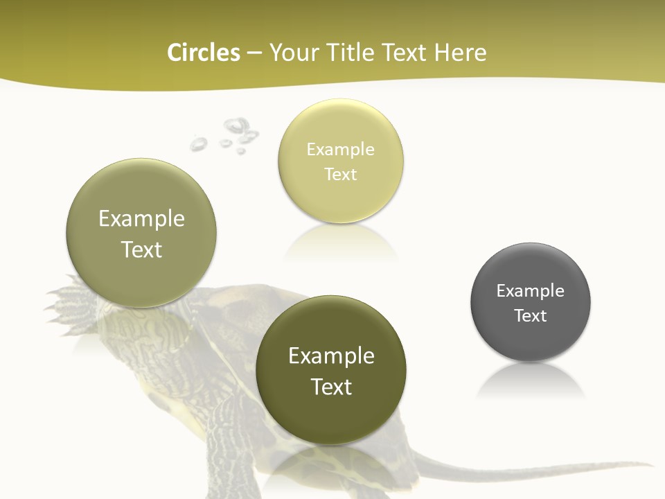 Fin Fluid Freshness PowerPoint Template