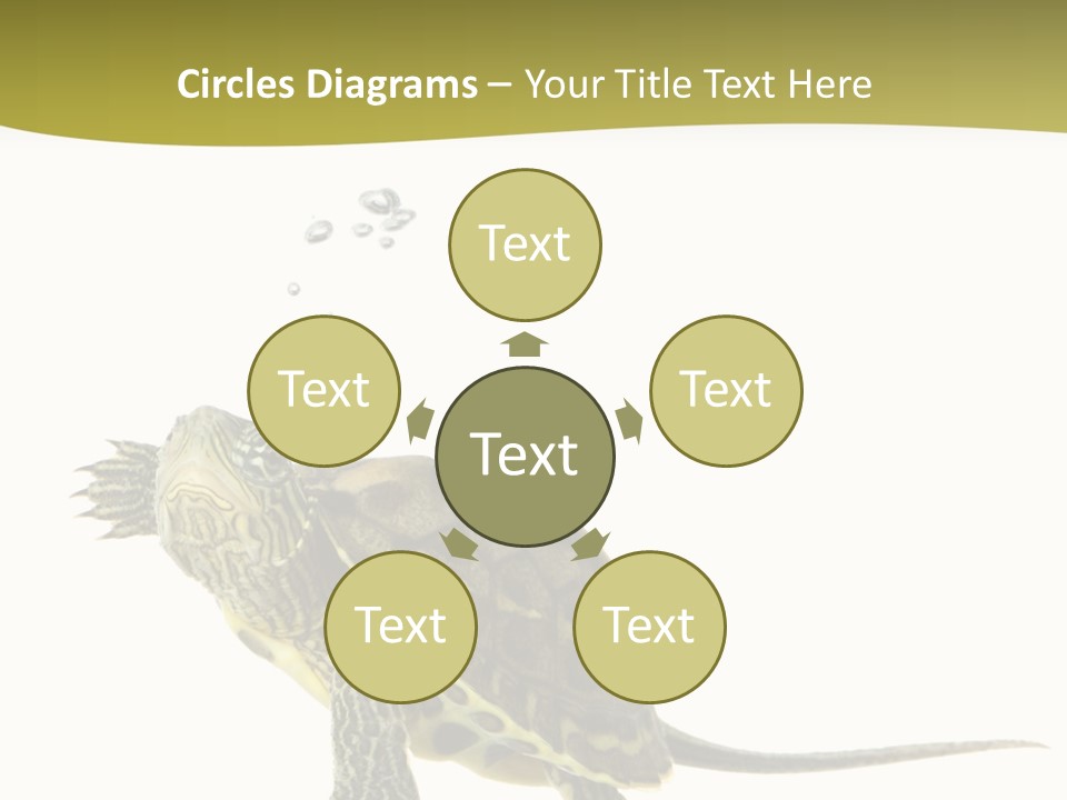 Fin Fluid Freshness PowerPoint Template