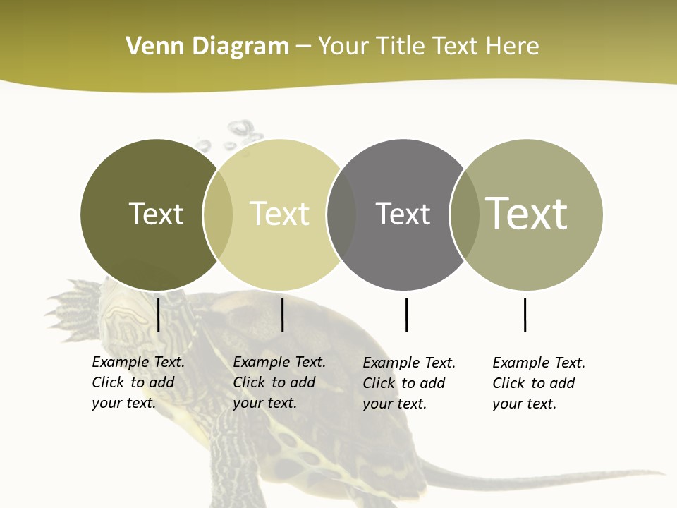 Fin Fluid Freshness PowerPoint Template