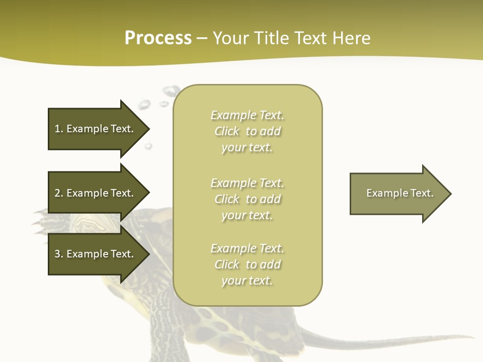 Fin Fluid Freshness PowerPoint Template