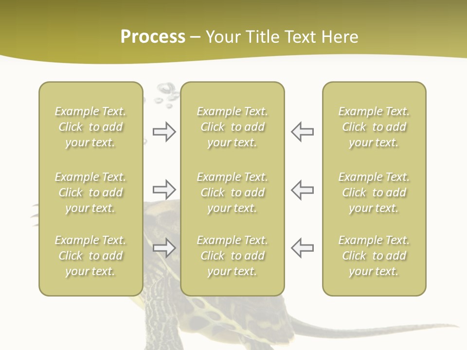 Fin Fluid Freshness PowerPoint Template