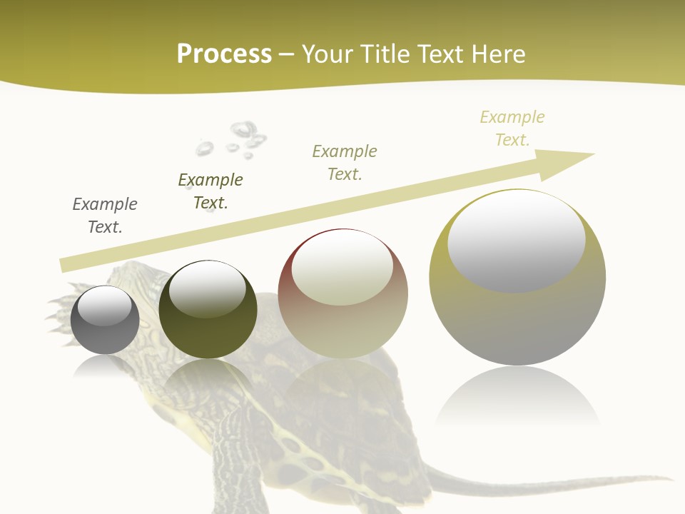 Fin Fluid Freshness PowerPoint Template