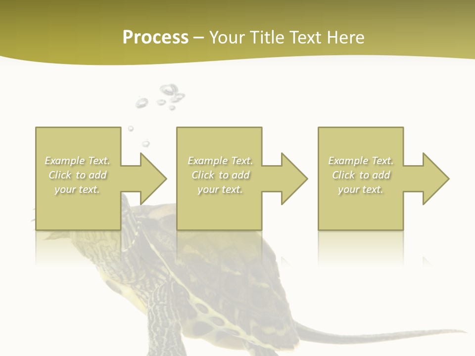 Fin Fluid Freshness PowerPoint Template
