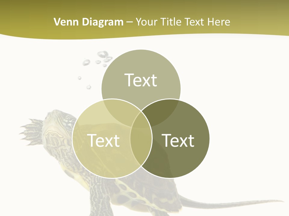 Fin Fluid Freshness PowerPoint Template