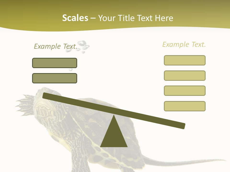 Fin Fluid Freshness PowerPoint Template